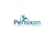 Pernixon Solutions Logotype