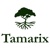 Tamarix Capital Logotype