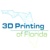 3D Printing Of Florida | Imagin3d Designs LLC Logotype