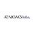 Aenigme (Pvt) Ltd Logotype