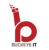 Buckeye I.T. Services, LLC. Logotype