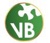 Vision Beyond Business Logotype