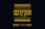 STM Cyber USA Logotype