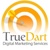 True Dart Digital Marketing Consulting Logotype