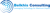 Belkhis Consulting LLC Logotype