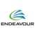Endeavour Solutions Inc. Logotype