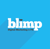Blimp Logotype