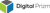 Digital Prizm Pte Ltd Logotype