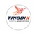 Triodix Logotype