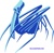PelicanSpider Logotype