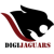Digijaguars Pvt Ltd Logotype