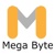Megabyte Logotype