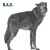 Business Application Developers (B.A.D) Logotype