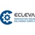 ECLEVA - Microsoft Solutions Partner Logotype