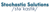 Stochastic Solutions Logotype