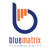 BlueMatrix Technologies Logotype