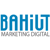 Bahiut Logotype