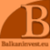 Recruitment Agency Balkaninvest Logotype