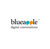 BlueApple Technologies Pvt Ltd Logotype