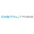 Digital Tribe Limited Logotype
