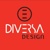 Diversa Design Logotype