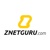 ZnetGuru - Web Design Logotype
