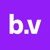 Big Vision Logotype