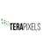 TeraPixels Systems Logotype
