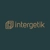 Intergetik Marketing Solutions Logotype