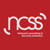 Network Consulting & Security Solutions Logotype