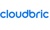 Cloudbric Logotype