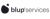 BlupX Pvt Ltd Logotype