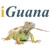 iGuana Logotype