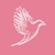 Maclaren Jones Design and Marketing Logotype