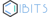 iBits LLC Logotype