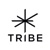 Tribe Communication Srl Logotype