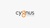 Cygnus Advertising PVT LTD Logotype