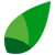 A fresh leaf. Logotype
