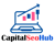 CapitalSeoHub Logotype