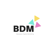 BDM SOLUTIONS Logotype