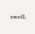 Swell YYC Logotype