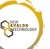 New Avalon Technology Logotype