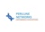 Perilune Networks Logotype