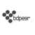 Bdpeer Logotype