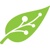 Mowgli Logotype