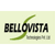 Bello Vista Tech Logotype