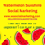 Watermelon Sunshine Social Marketing Logotype