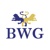 Blake Willson Group, LLC Logotype