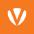Verity IT Logotype