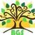 BGS Logotype